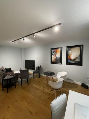 Luxurious Private One Bedroom Apartment